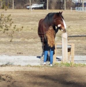 Meet your Posher, Todd